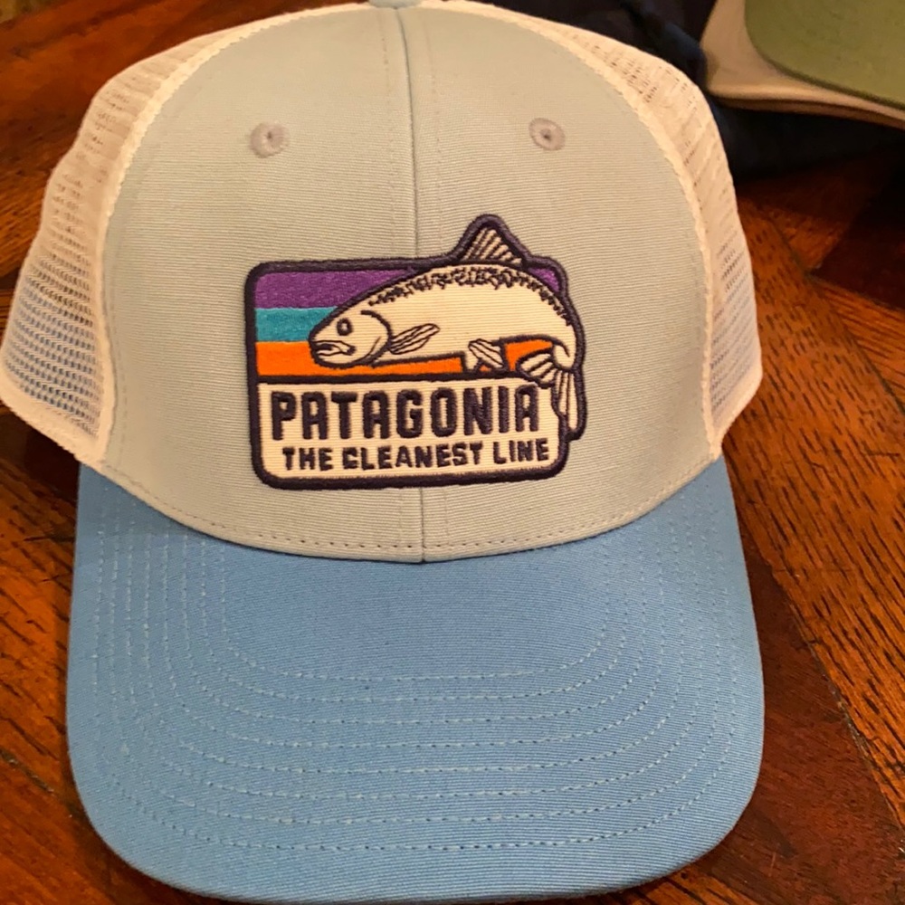 Patagonia The cleanest line trucker hat.